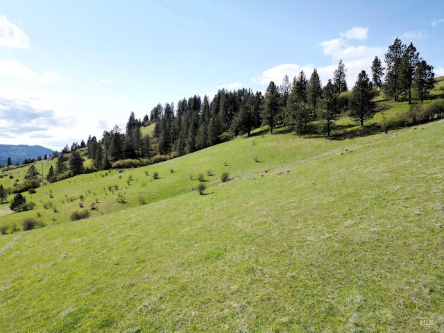 TBD Dent Bridge Rd, Orofino, ID 83544