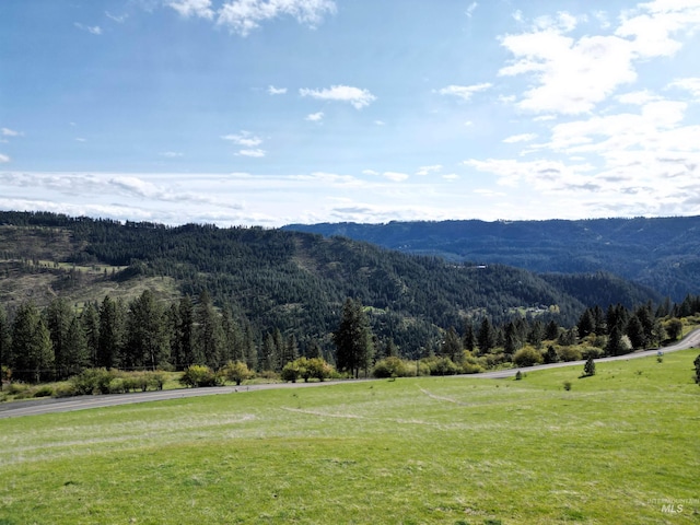 TBD Dent Bridge Rd, Orofino, ID 83544