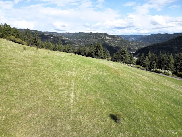 TBD Dent Bridge Rd, Orofino, ID 83544
