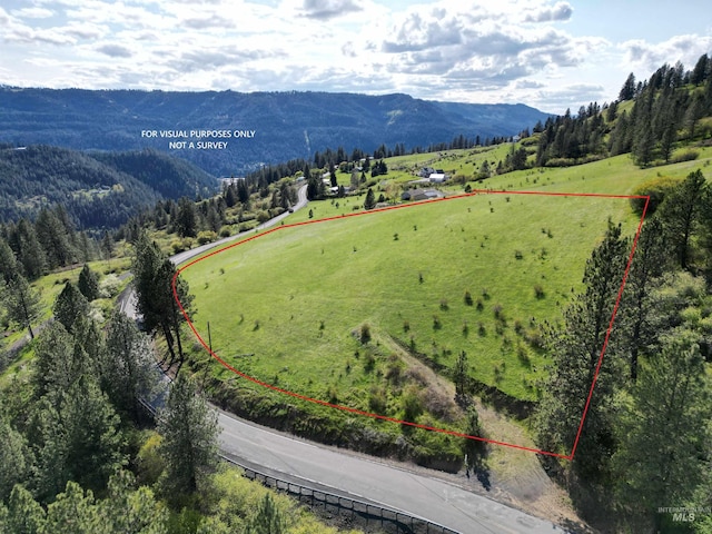 TBD Dent Bridge Rd, Orofino, ID 83544