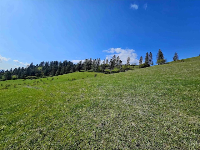 TBD Dent Bridge Rd, Orofino, ID 83544