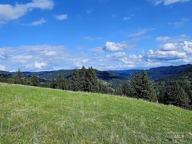 TBD Dent Bridge Rd, Orofino, ID 83544