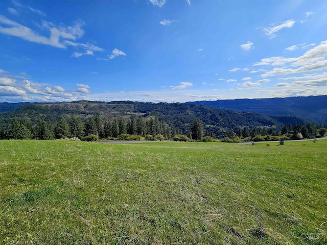TBD Dent Bridge Rd, Orofino, ID 83544