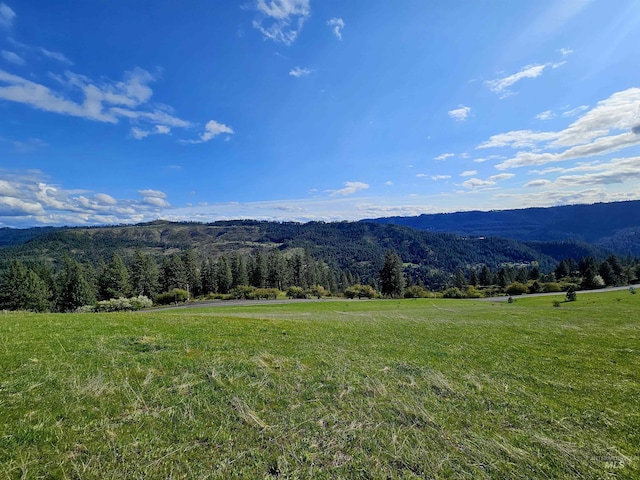 TBD Dent Bridge Rd, Orofino, ID 83544