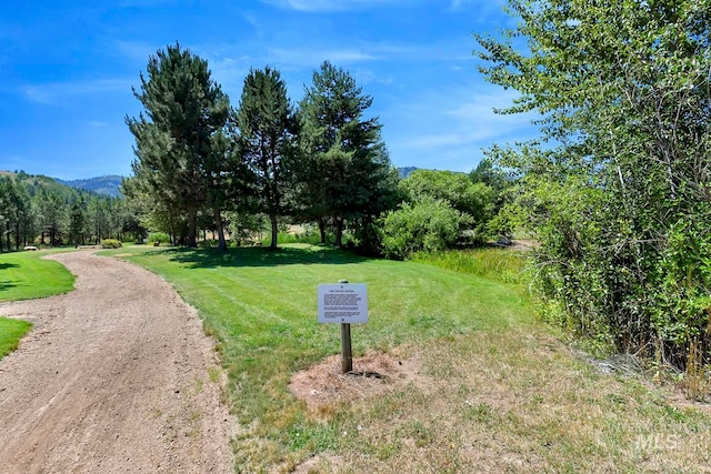 view of property's community with a mountain view and a lawn