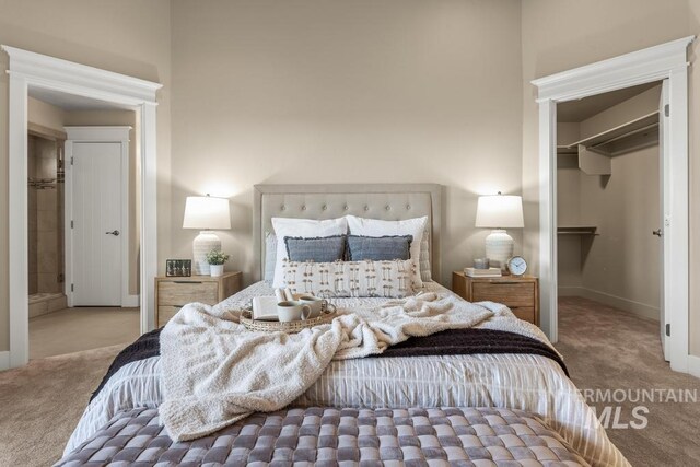 carpeted bedroom with a spacious closet and a closet