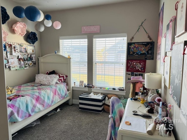 805 Drayton Ave, Twin Falls, ID 83301 - view of carpeted bedroom