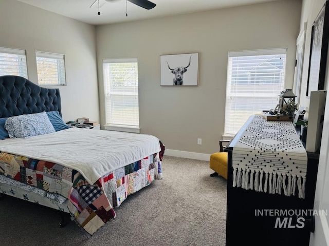 805 Drayton Ave, Twin Falls, ID 83301 - carpeted bedroom with baseboards
