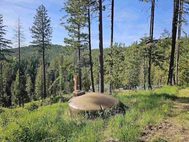 1051 Cottage Ln, Kendrick, ID 83537