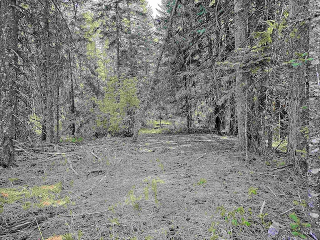 1051 Cottage Ln, Kendrick, ID 83537