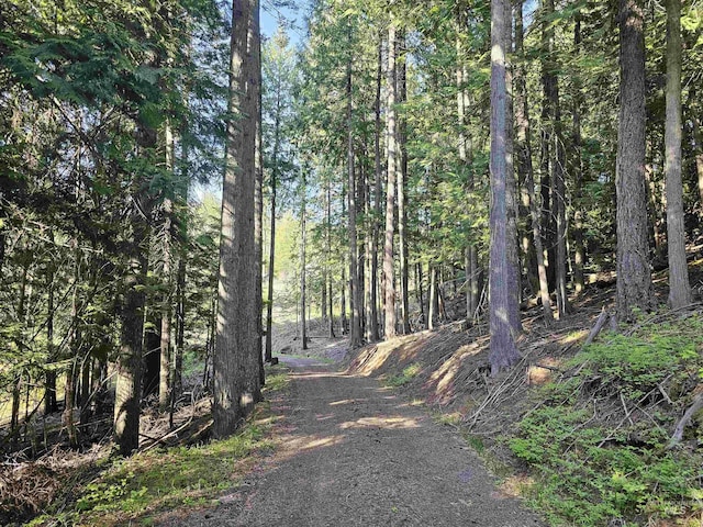 1051 Cottage Ln, Kendrick, ID 83537