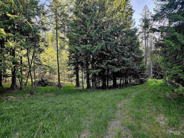 1051 Cottage Ln, Kendrick, ID 83537