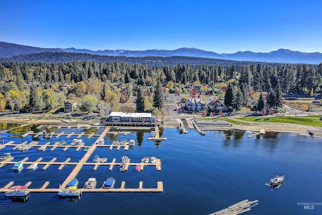 1415 Roosevelt Ave, Mccall, ID 83638