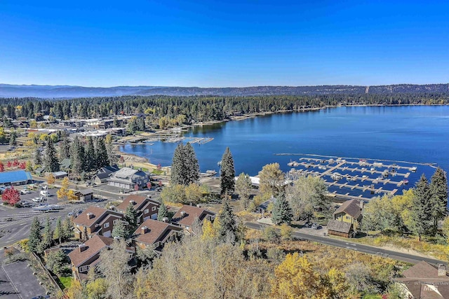 1415 Roosevelt Ave, Mccall, ID 83638