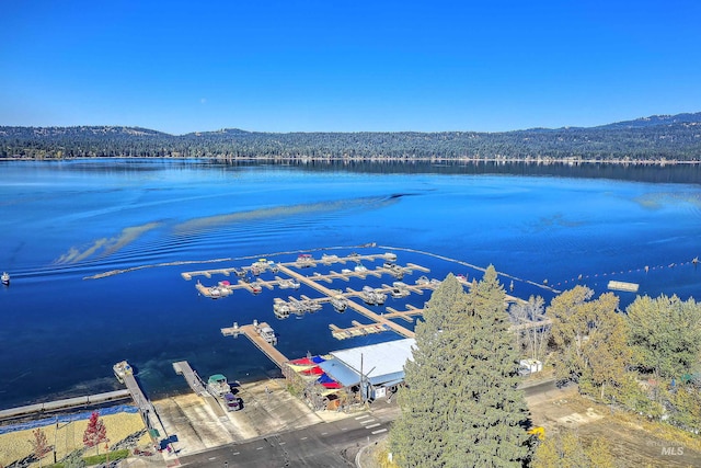 1415 Roosevelt Ave, Mccall, ID 83638