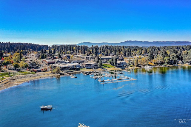1415 Roosevelt Ave, Mccall, ID 83638