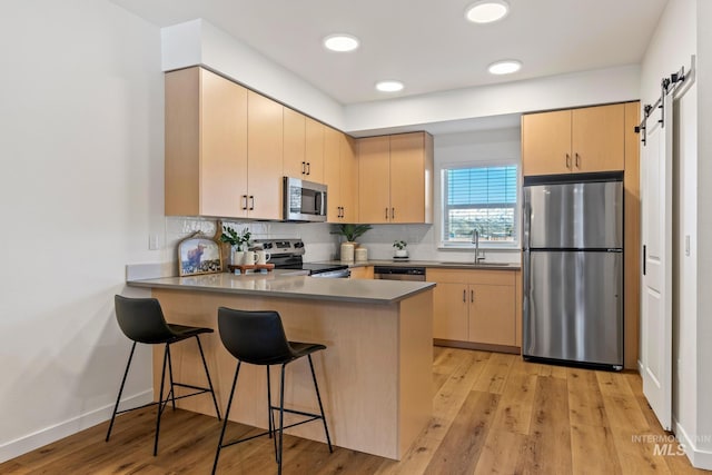kitchen featuring tasteful backsplash, a peninsula, a sink, and stainless steel appliances