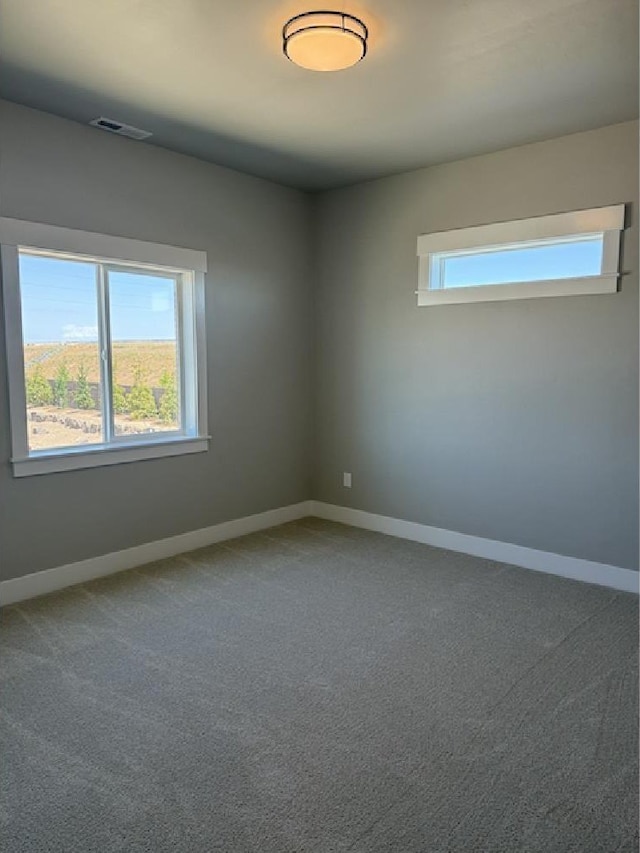 4624 N Alameda Creek Ave, Meridian, ID 83646 - empty room with baseboards and carpet