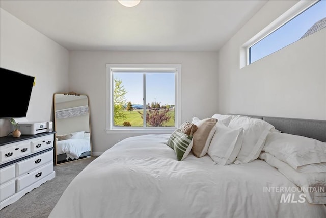 18245 N Arch Haven Way, Nampa, ID 83687 - view of carpeted bedroom
