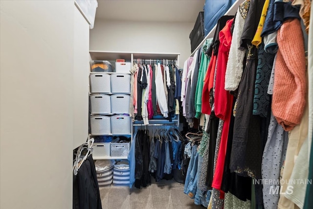 18245 N Arch Haven Way, Nampa, ID 83687 - spacious closet featuring carpet floors