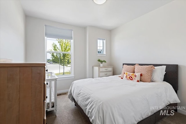 18245 N Arch Haven Way, Nampa, ID 83687 - bedroom with carpet floors, multiple windows, and baseboards