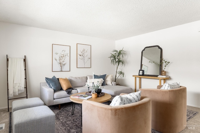 8305 W Rifleman St, Boise, ID 83704 - living room with carpet, a textured ceiling, and baseboards