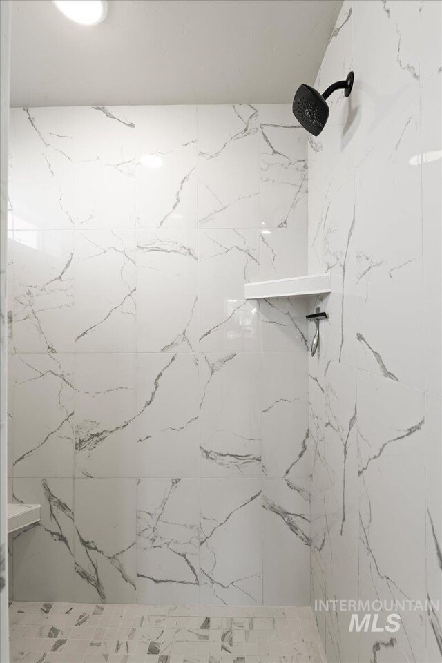 interior details with a marble finish shower