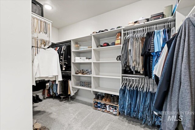 spacious closet featuring carpet