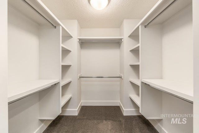 spacious closet with dark colored carpet