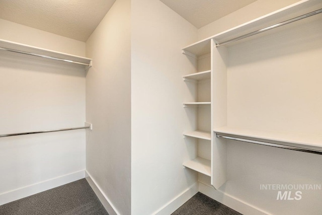 walk in closet featuring dark carpet