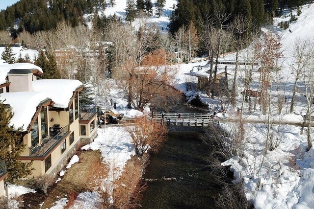 221 Picabo Street #D, Interest 1-H, Ketchum, ID 83340 - exterior space
