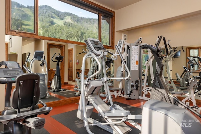 221 Picabo Street #D, Interest 1-H, Ketchum, ID 83340 - exercise room with a view of trees