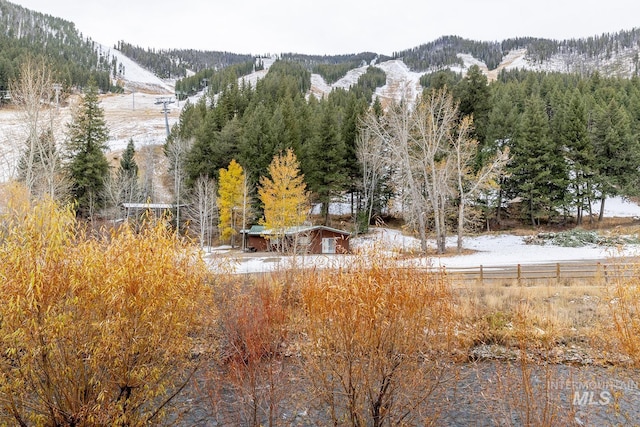 221 Picabo Street #D, Interest 1-H, Ketchum, ID 83340 - view of community with a mountain view and a forest view