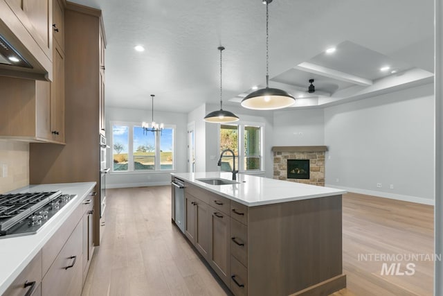 kitchen featuring sink, stainless steel appliances, extractor fan, light hardwood / wood-style floors, and a center island with sink