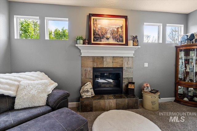 1063 Hitchcock St, Meridian, ID 83646 - carpeted living room featuring baseboards and a tiled fireplace