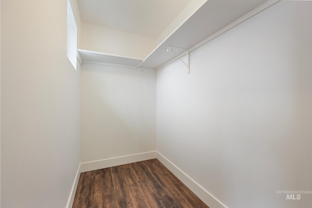 walk in closet with dark hardwood / wood-style flooring