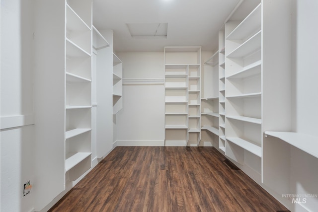 walk in closet with dark wood-type flooring