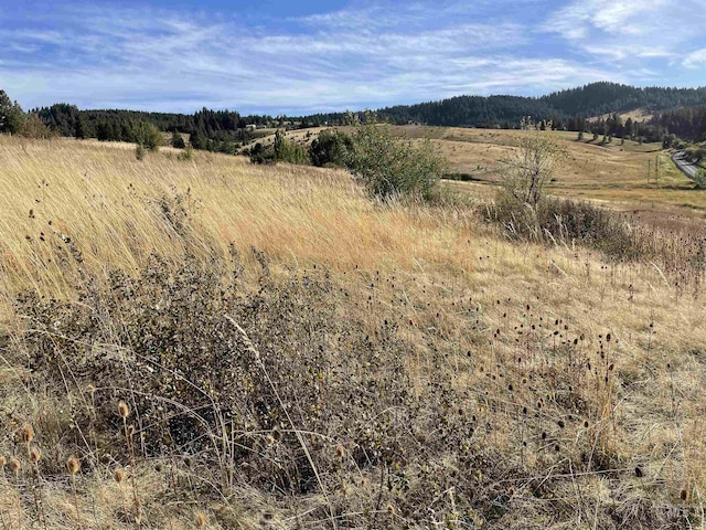 2590 Blaine, Moscow, ID 83843