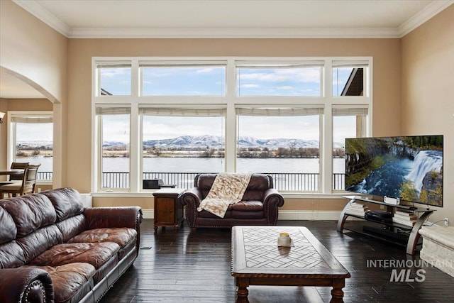 living room featuring dark hardwood / wood-style flooring and ornamental molding