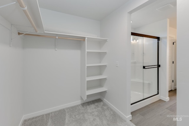 5813 W Stavros St, Meridian, ID 83646 - view of walk in closet