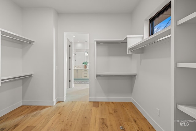 spacious closet featuring wood-type flooring