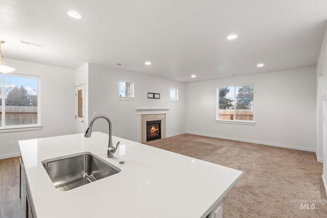 kitchen featuring sink, a wealth of natural light, and an island with sink