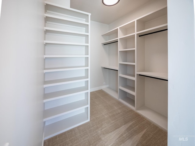 1590 N Watershed Ln, Star, ID 83669 - spacious closet with carpet