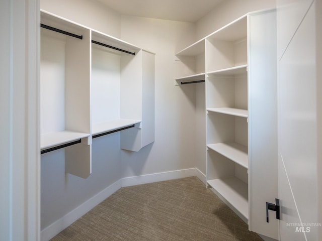 1590 N Watershed Ln, Star, ID 83669 - spacious closet featuring dark colored carpet