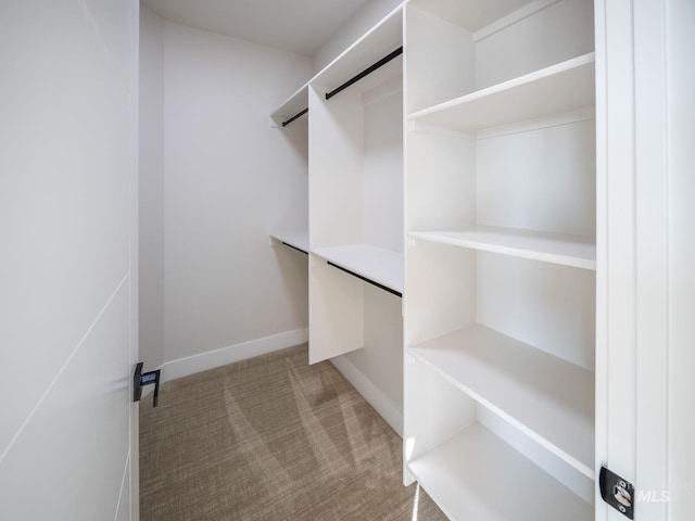 1590 N Watershed Ln, Star, ID 83669 - spacious closet featuring carpet floors