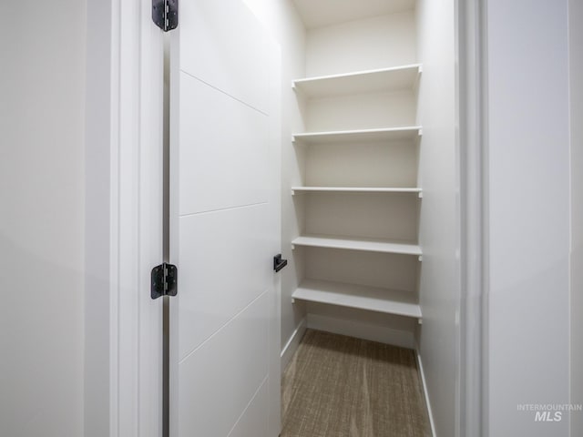 1590 N Watershed Ln, Star, ID 83669 - view of closet