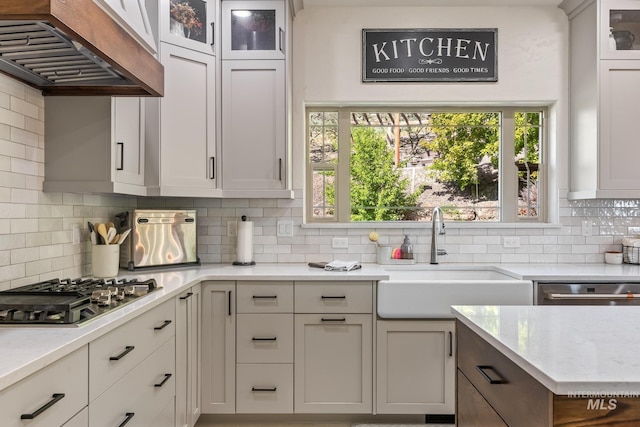 kitchen featuring exhaust hood, appliances with stainless steel finishes, a sink, and tasteful backsplash