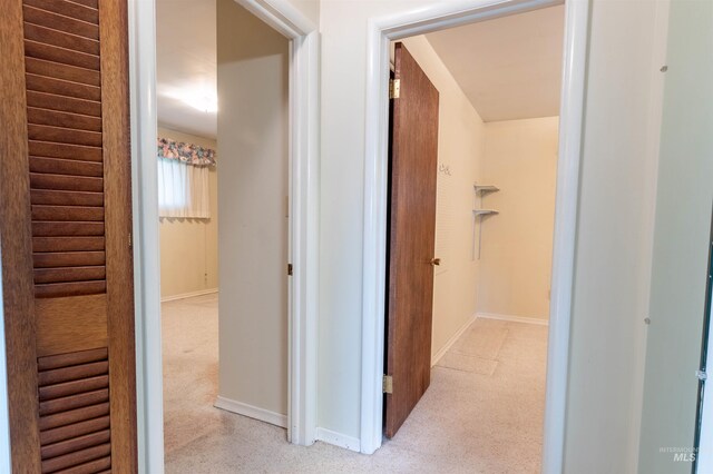 904 Lewis St, Moscow, ID 83843 - hall featuring light colored carpet and baseboards