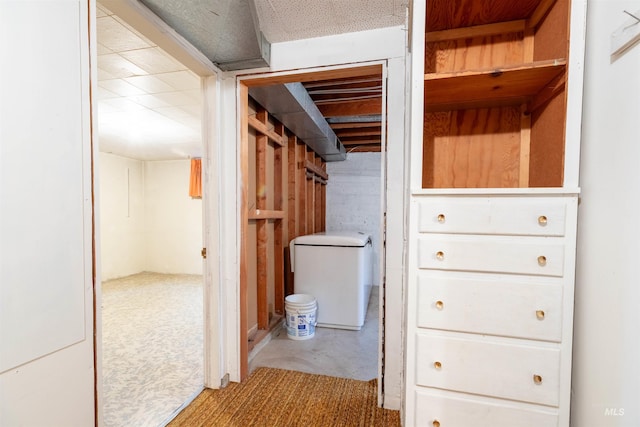 904 Lewis St, Moscow, ID 83843 - walk in closet featuring carpet floors
