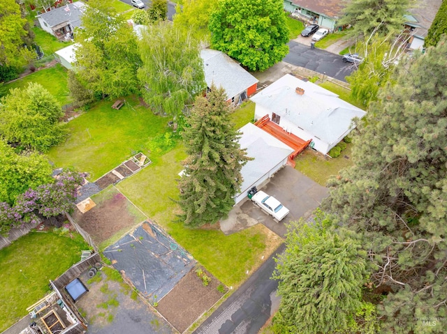 904 Lewis St, Moscow, ID 83843 - aerial view